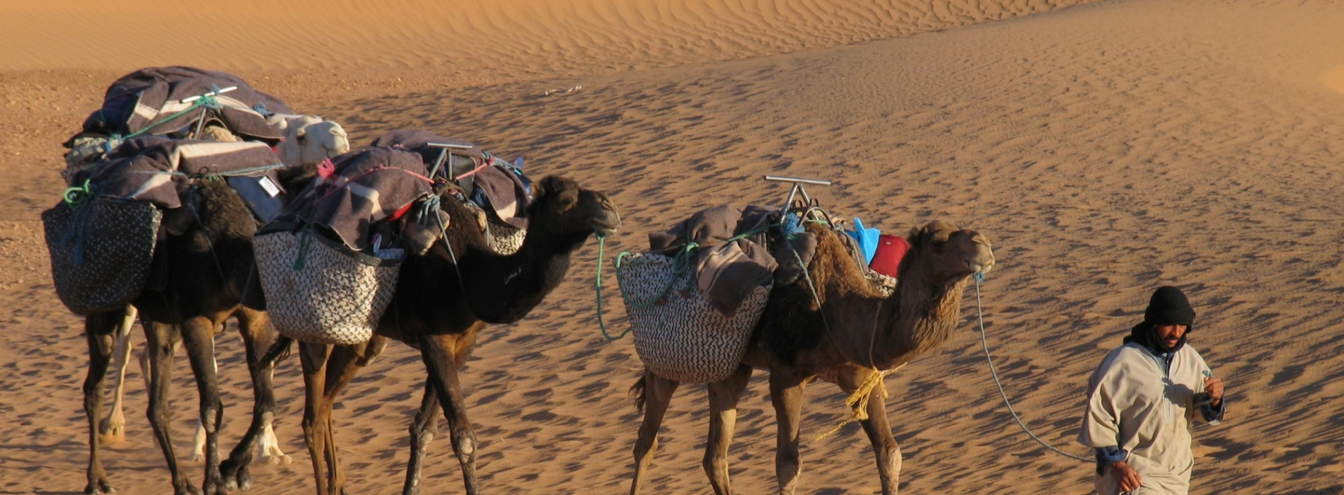 7-Day Epic Sahara Expedition: From Erg Chebbi to Erg Chegaga - Image 3